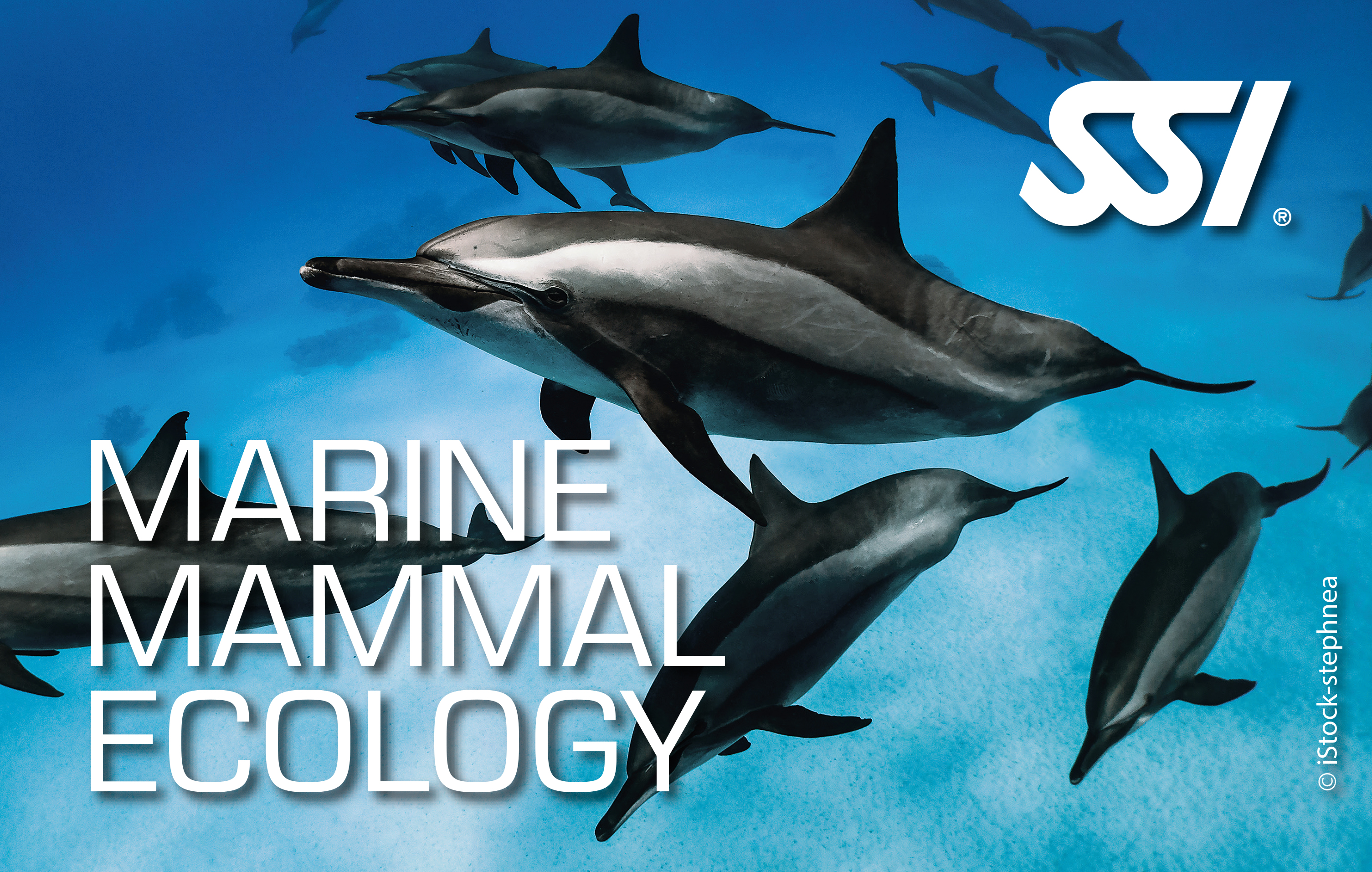 Dive Against Debris Dieli Diver